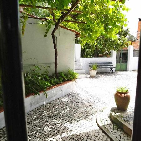 Casa Dos Pocinhos Ferias Tranquilas No Campo Torres Novas Exteriör bild