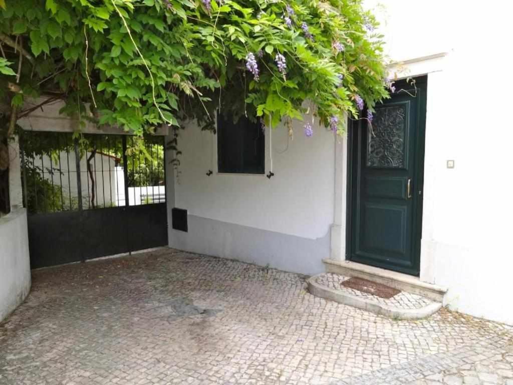 Casa Dos Pocinhos Ferias Tranquilas No Campo Torres Novas Exteriör bild