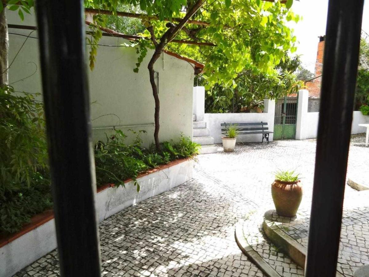 Casa Dos Pocinhos Ferias Tranquilas No Campo Torres Novas Exteriör bild