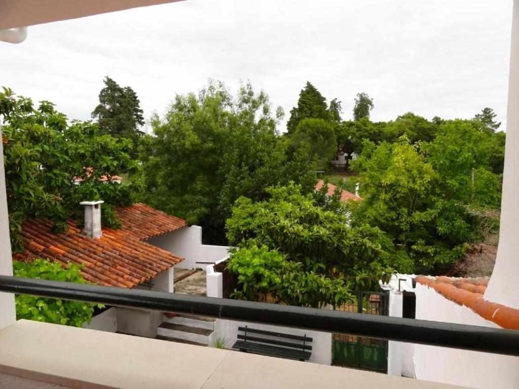 Casa Dos Pocinhos Ferias Tranquilas No Campo Torres Novas Exteriör bild